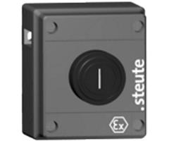 6810013101 Steute   